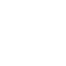 新幹線・飛行機代に